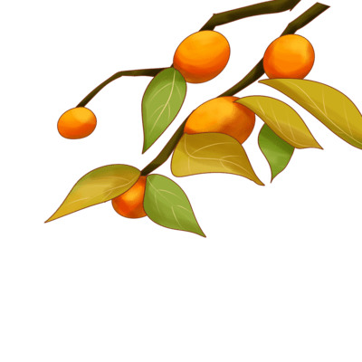 Catina Plant